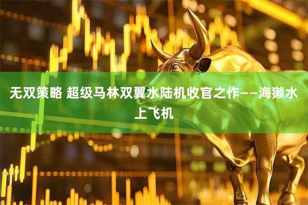无双策略 超级马林双翼水陆机收官之作——海獭水上飞机