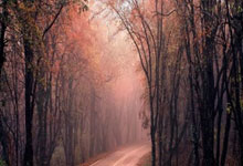 股票开户可以开几个户:证券配资网-比亚迪8月销量停滞不前 新势力交付量分化凸显纯电上升趋势